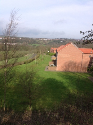 Waddleduck Cottage Whitby